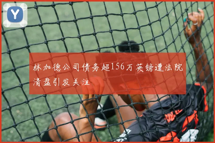 林加德公司债务超156万英镑遭法院清盘引发关注